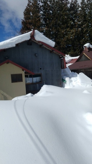 2025豪雪・50%分院被害2.jpg
